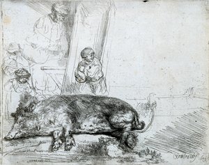 The Hog by Rembrandt van Rijn
